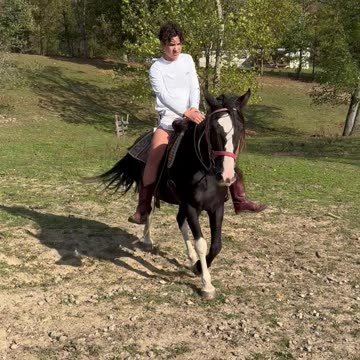 Malachi and Luke 10/13/2024 D