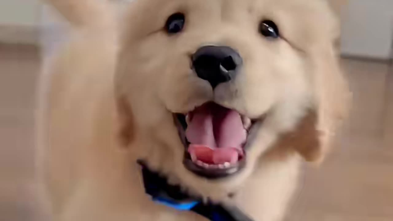 so cute