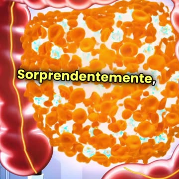 🧪 Il Rame e il Cancro del Colon-Retto: Cosa Dice la Scienza? 🔬