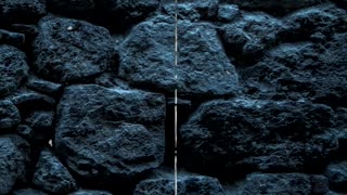 Noé entra en el arca con los suyos - Visiones de la beata Ana Catalina Emmerick