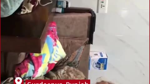 Punjab Horror: Daughter-in-Law Beats Elderly Mother-in-Law, Viral Video Sparks Outrage