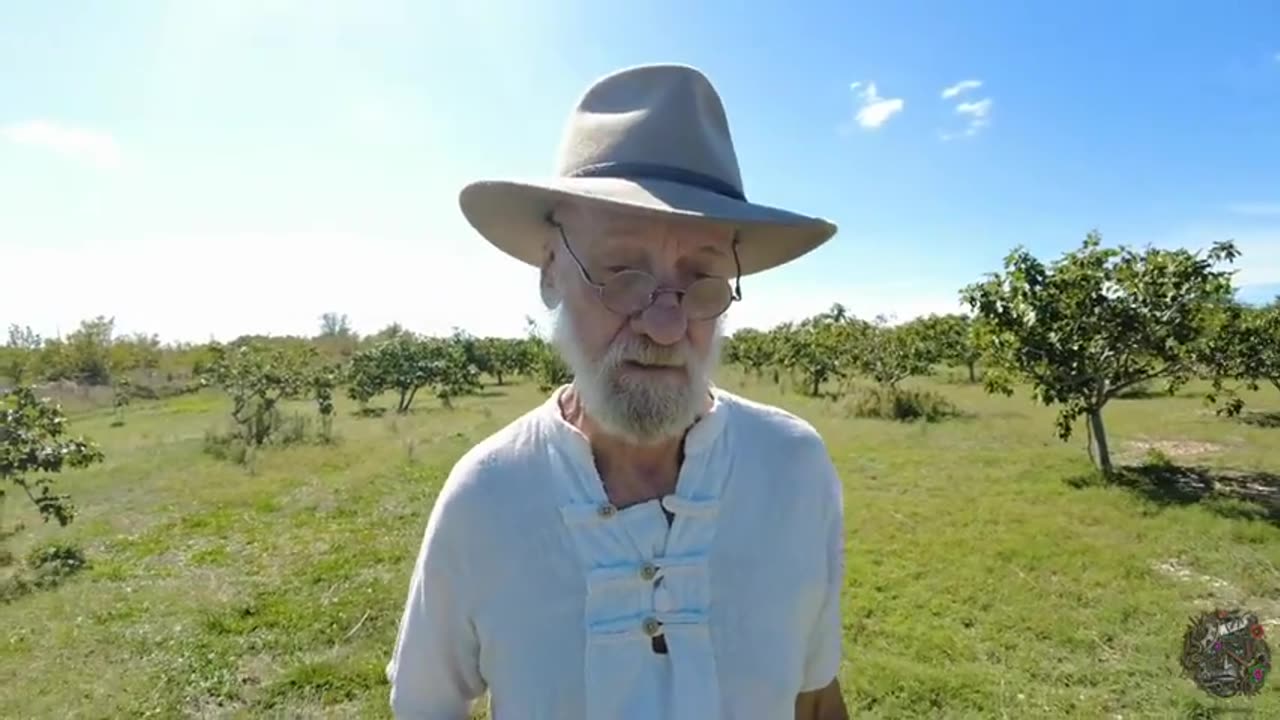 The Satanic Pedophile Elites Systematic Planned Setup Decoded! .......