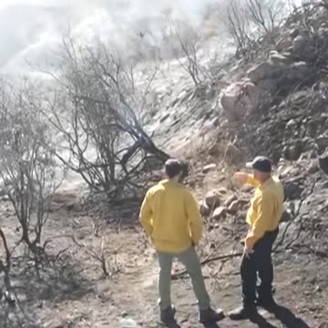 Palisades, Eaton Fires in Los Angeles Kill 24, Burn Homes & Historic Landmarks