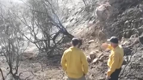 Palisades, Eaton Fires in Los Angeles Kill 24, Burn Homes & Historic Landmarks