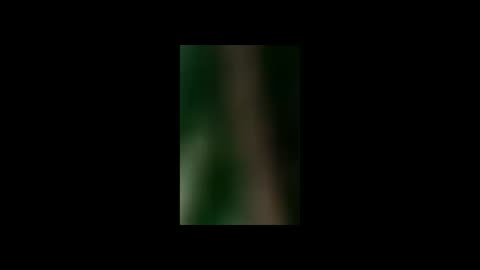 1 HORA DE RELATOS DE TERROR