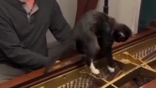 🤯🎶 He Felt Every Note... | FunFM