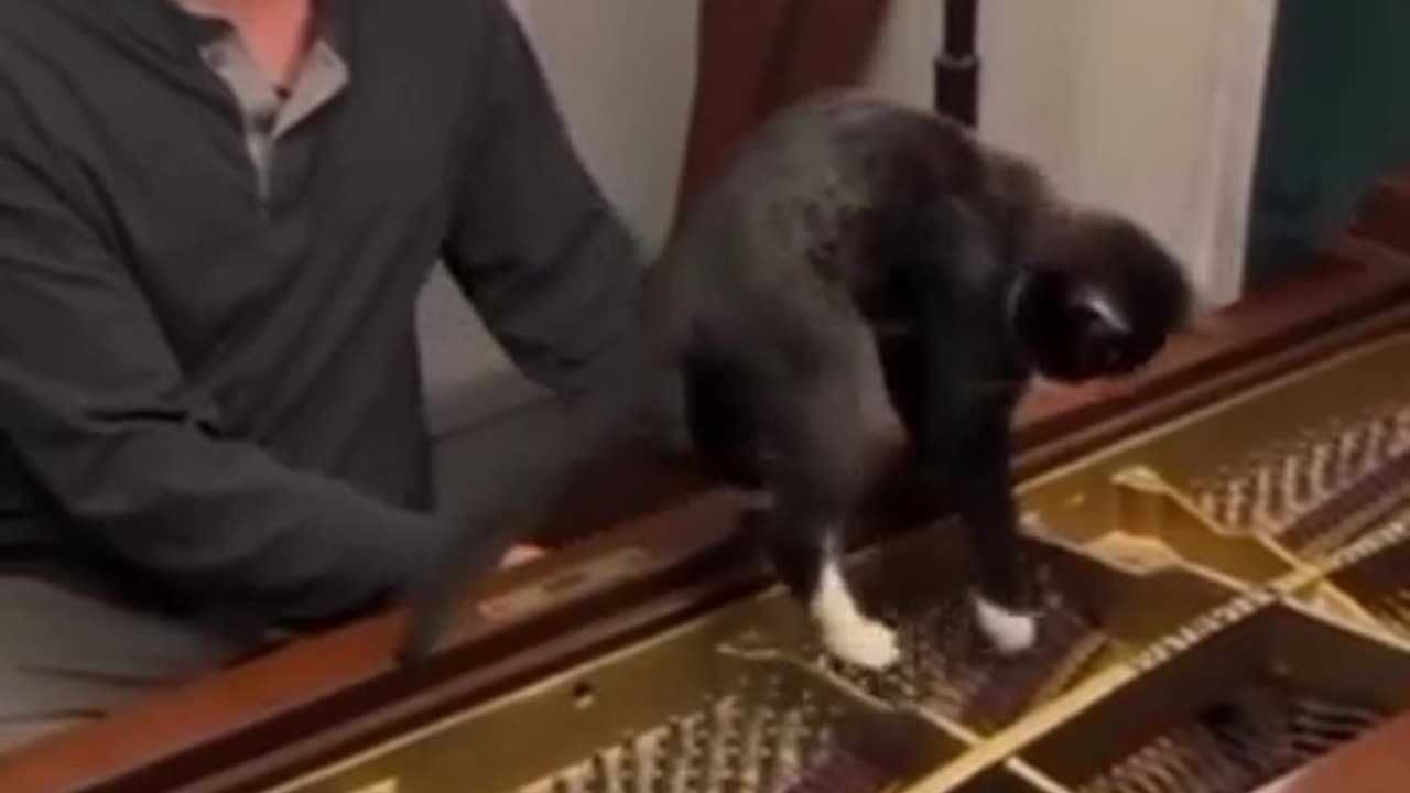🤯🎶 He Felt Every Note... | FunFM