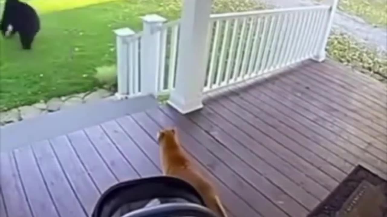 Prank 🤣🤣🤣