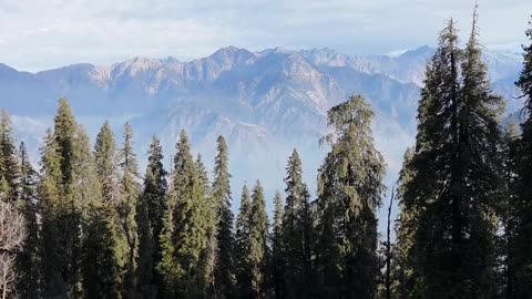 Daily Horoscope | Capricorn 🌟