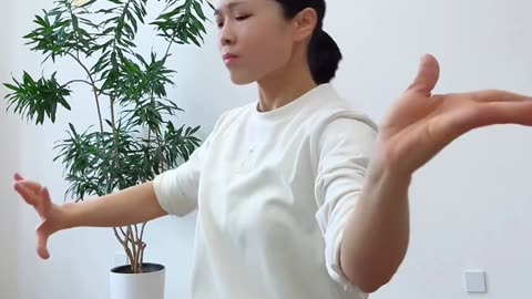 642.看懂太極拳