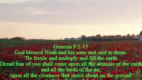 A reading from the book of Genesis, 9:1-13