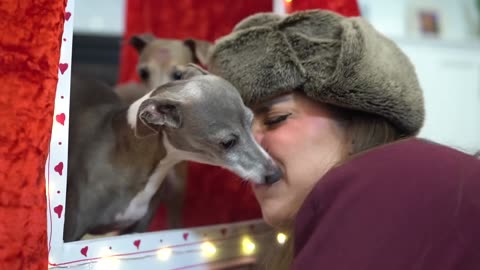 📌 Dog Kissing Booth | The Cutest Puppy Smooches Ever! 🐶💋🎟️