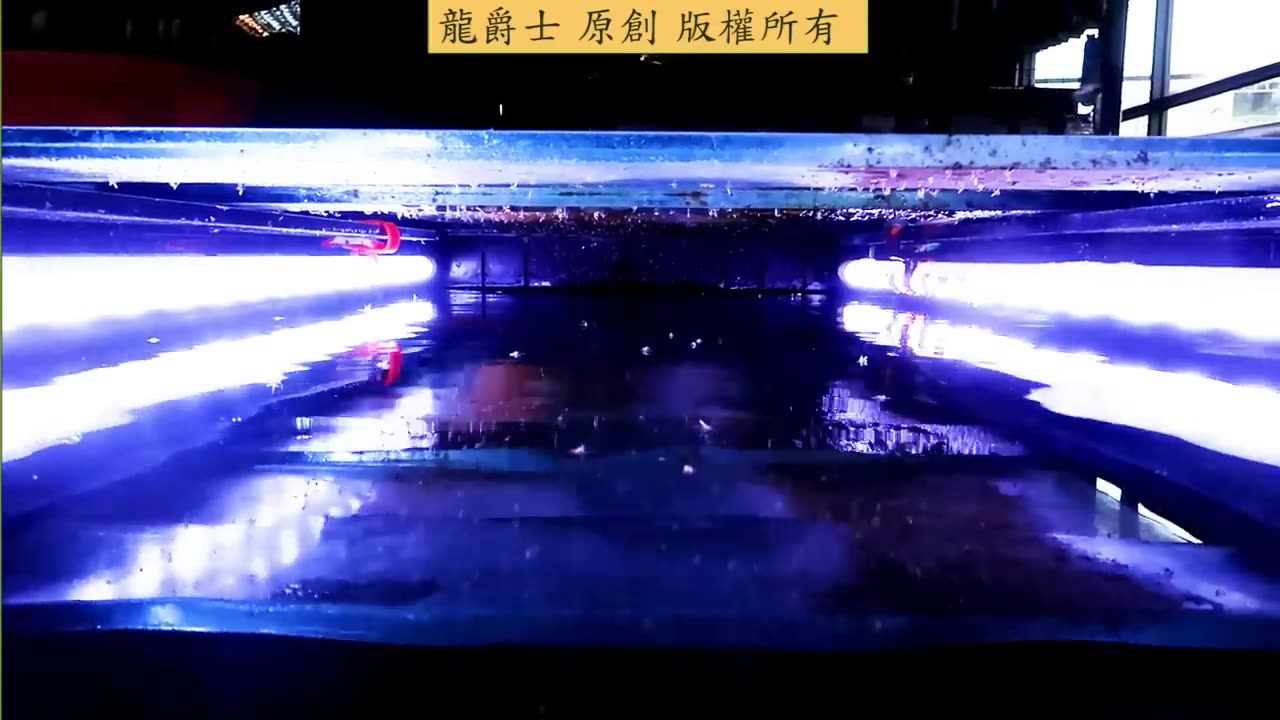 【龍爵士】魚缸燈怎麼擺放