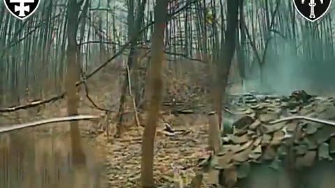 No Human Can Survive | Once Skynet Begins To Attack