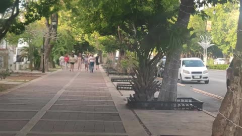 Paseo de Montejo - Mérida - Yucatán - 4K