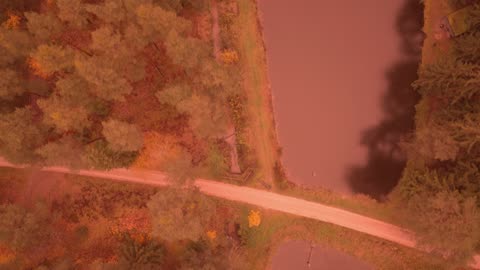 Alltdorf,mokřava / Bonamassa