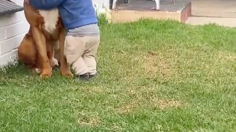 Touching Scene as Young Child Shares a Warm Hug with Beloved Dog