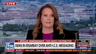 Hemingway: Attacking Popular Immigration Enforcement Is Not A Winning Move For Dems