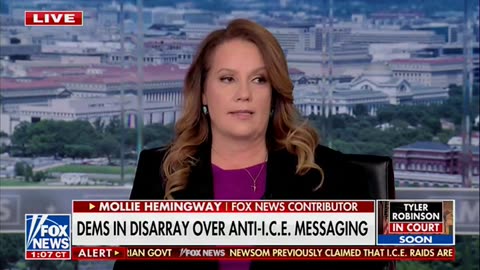 Hemingway: Attacking Popular Immigration Enforcement Is Not A Winning Move For Dems