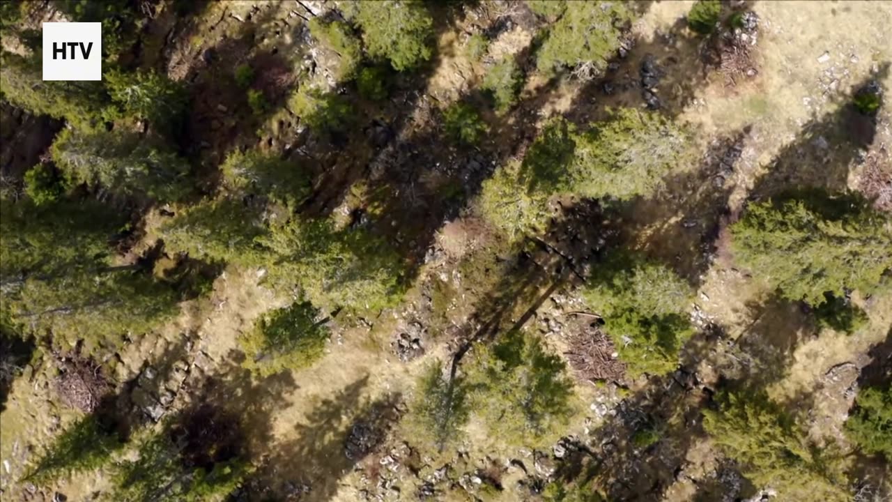 Exploring Nature’s Best-Kept Secrets