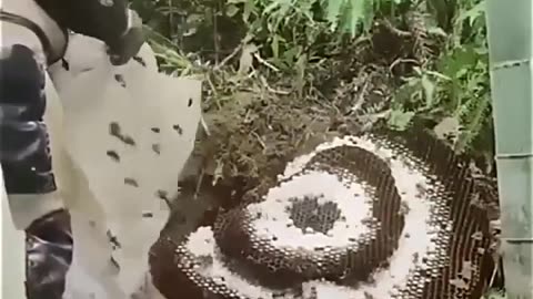 The most exotic jobs