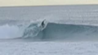 Nice left in Newport.