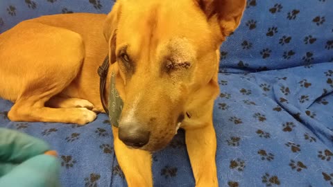 VID_20251102_125427497