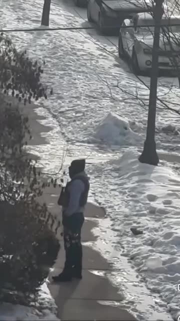 ICE flees after Minnesotans trigger car alarms from the safety of their homes