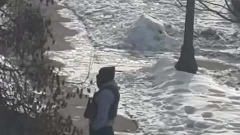 ICE flees after Minnesotans trigger car alarms from the safety of their homes