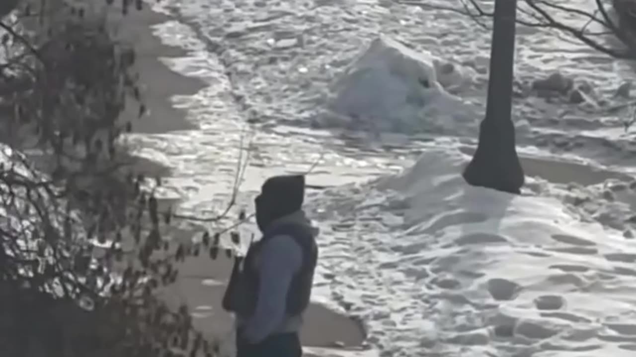 ICE flees after Minnesotans trigger car alarms from the safety of their homes