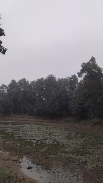 Almost Dry Lake | Silent Signs of Changing Seasons