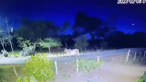 😱👻 What They Caught on Camera Will Give You Nightmares! Ouija Poltergeist | TheHauntingHour