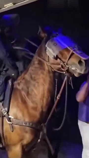 LAPD on horses charge at and beat guests standing in line