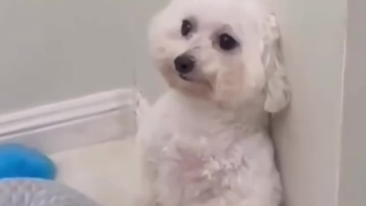 Drop a ❤️ for all the mothers out there