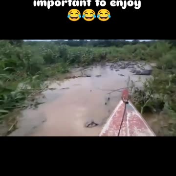 Life is not important 😂 but important to enjoy the life