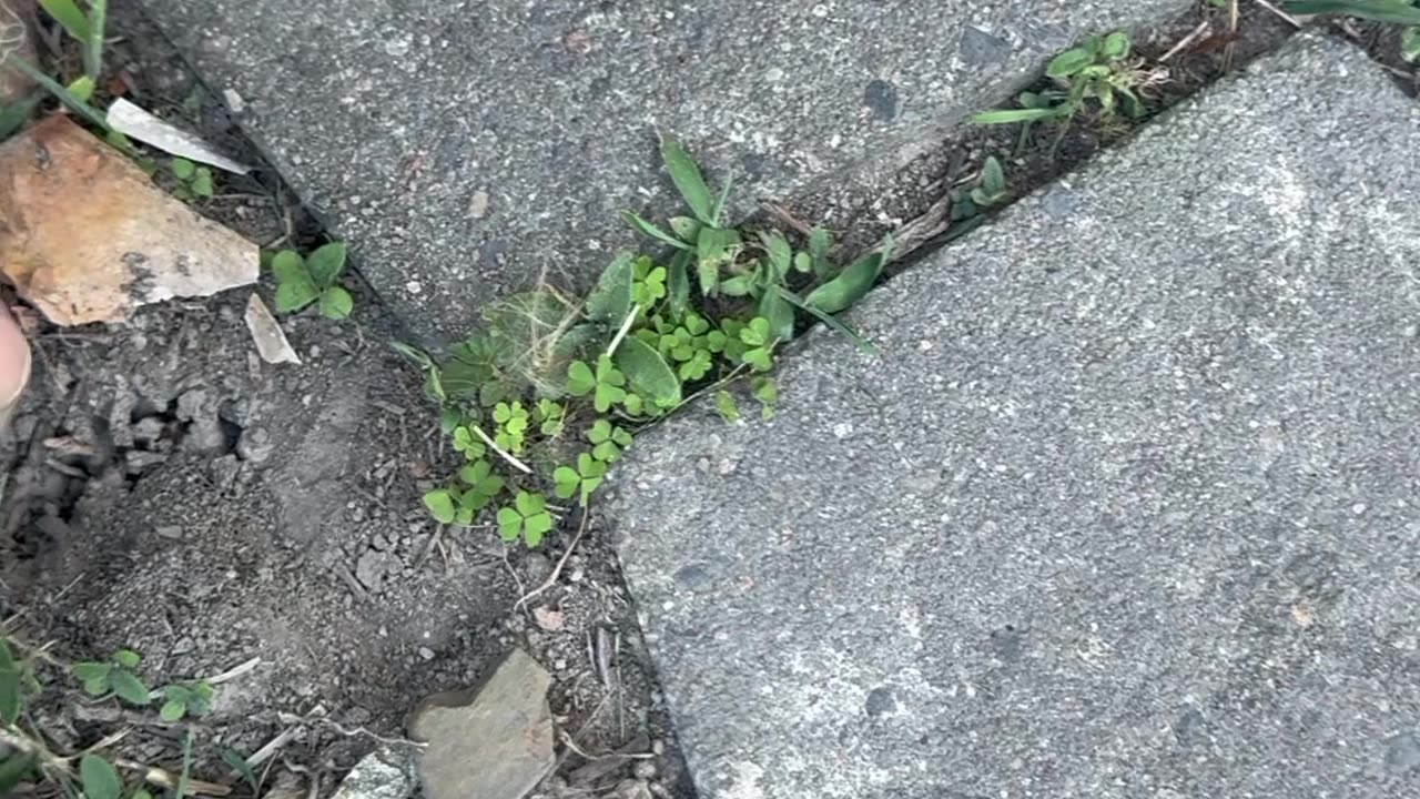 Meadow Vale. A few kilometres inland.