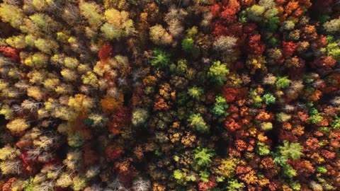 Deep Feelings R&B Mix