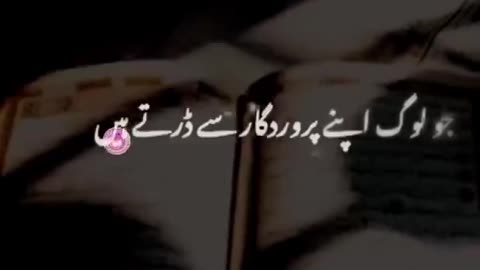 Beshak 💯♥️✨🕊️