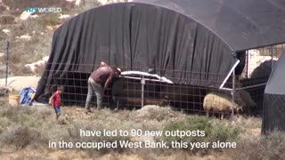Bedouins struggle amid violence and settlement threats in the occupied West Bank