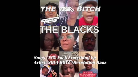 BLACKS & EBT MELTDOWN NEW SONG: 13 PERCENT F_CK EVERYTHING UP