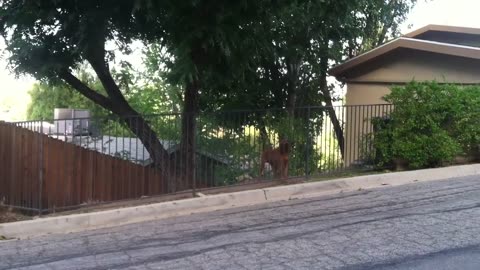 Elliot Rodger Isla Vista Hoax: Elliot Rodger's Unreleased Videos: An Analysis