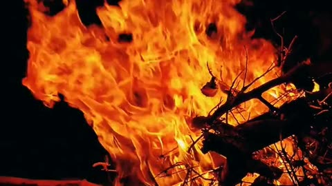 Daily Horoscope | Leo 🌟