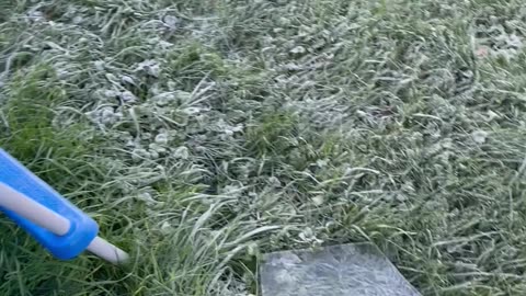 Breaking Ice on a Koi Pool