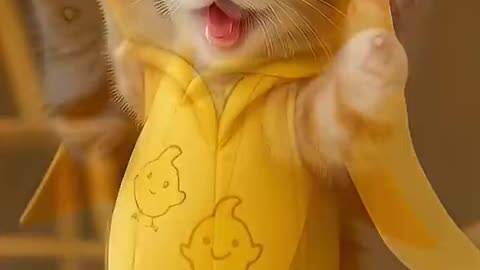 Banana Kitten Dance! 🍌😸 Cutest AI Cat Ever!