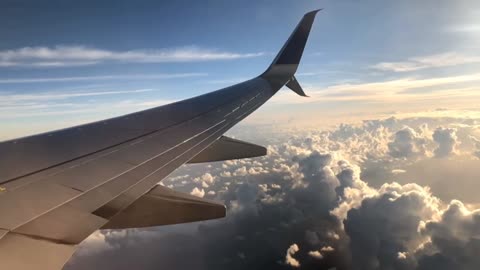 Flights , just flights