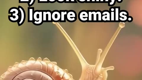 To-do list- 1) Exist. 2) Look shiny. 3) Ignore emails. #workplacehumour #meditation #calmmusic