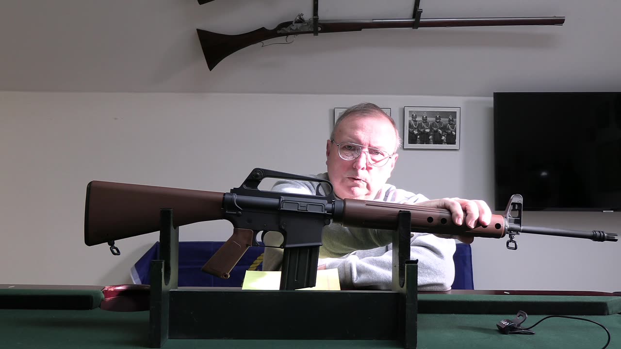Retro AR15 question who sells these rifles