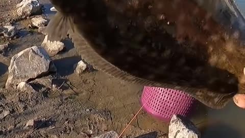 Flounder Fishing in Southwest Louisiana - Winter Catch and Adventures 🎣