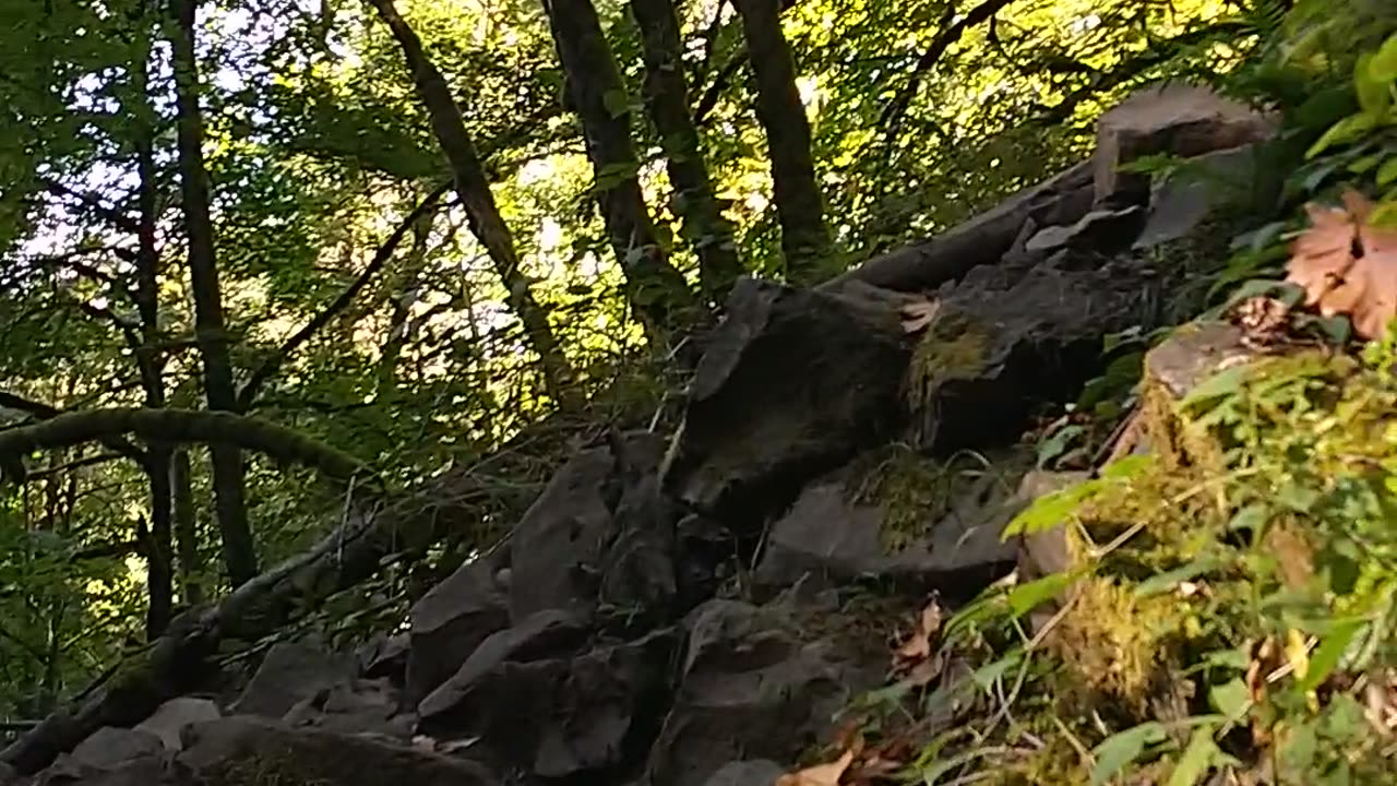 Bridal veil falls