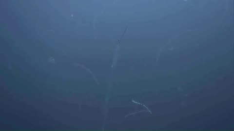 Travel To The Depths Of Our Mysterious